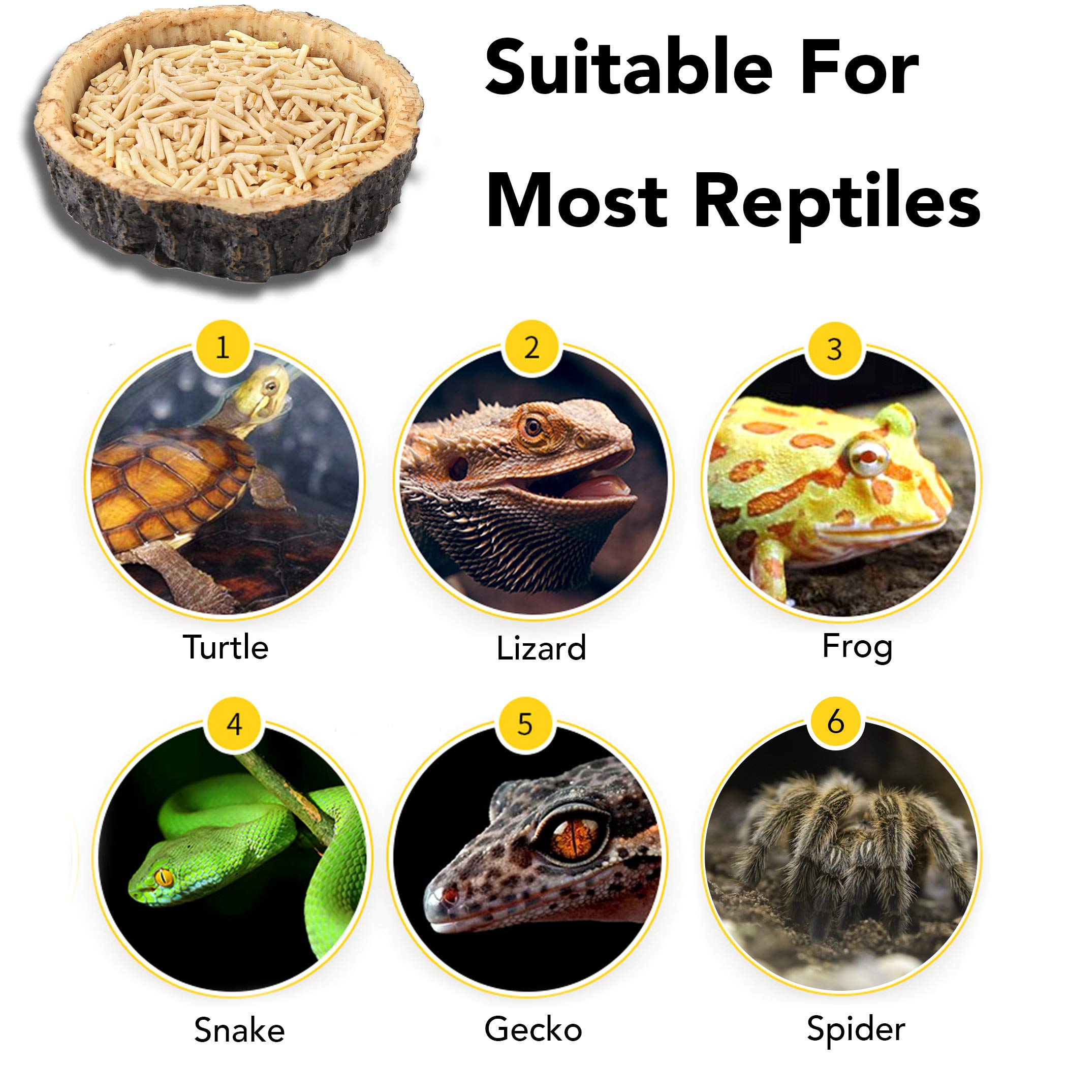 CalPalmy 2 Pack Reptile Water and Food Bowls, Novelty Food Bowl for Lizards, Young Bearded Dragons, Small Snakes and More - Made